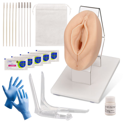 Simulatore didattico - MedEduQuest. - per esame pelvico / ginecologico / di adulto