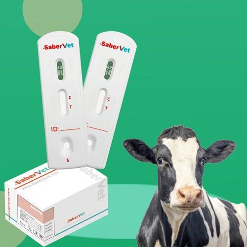 Test rapido della brucellosi - SaberVet BRU Ab - Hangzhou Antigenne Technology Co. Ltd - veterinario / per bovini / della Brucella