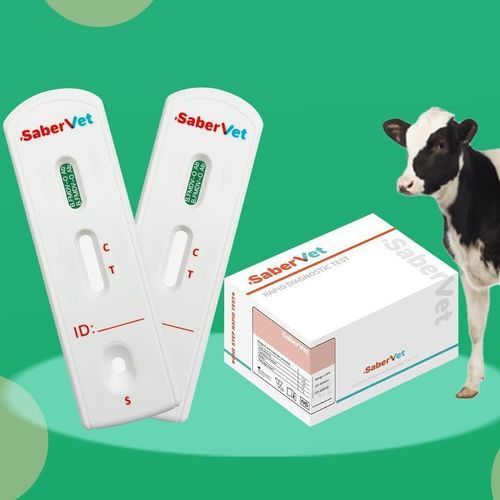 Test rapido per malattie infettive - SaberVet FMDV-O Ab - Hangzhou Antigenne Technology Co. Ltd - veterinario / per bovini / per vitelli