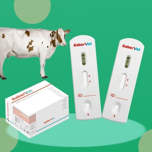Test rapido per malattie infettive - SaberVet BVDV Ab - Hangzhou Antigenne Technology Co. Ltd - veterinario / per bovini / virale