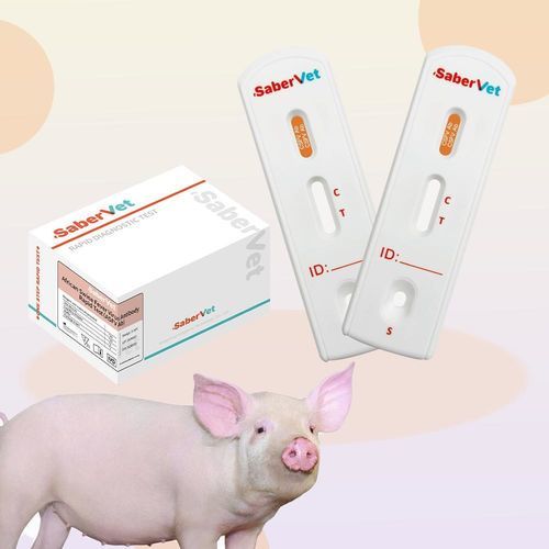 Test rapido per malattie infettive - SaberVet CSFV Ab - Hangzhou Antigenne Technology Co. Ltd - veterinario / per suini / virale