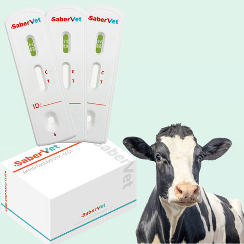 Test rapido per malattie infettive - SaberVet IBR Ab - Hangzhou Antigenne Technology Co. Ltd - veterinario / per bovini / virale