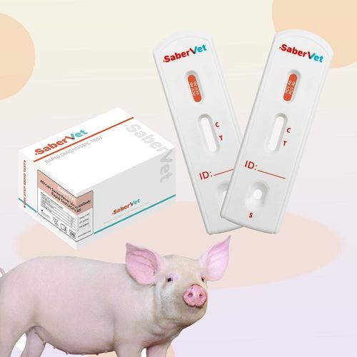 Test rapido per malattie infettive - SaberVet PCV Ab - Hangzhou Antigenne Technology Co. Ltd - veterinario / per suini / circovirus porcino