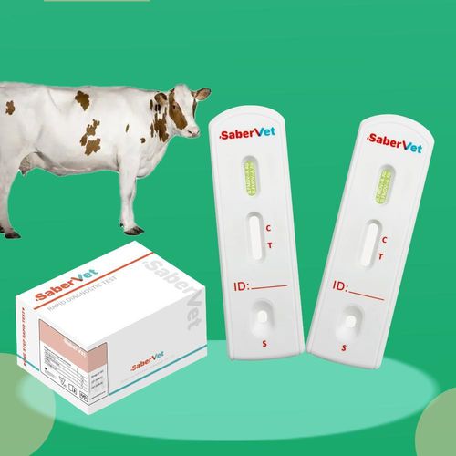 Test rapido per malattie infettive - SaberVet FMDV-A Ab - Hangzhou Antigenne Technology Co. Ltd - veterinario / per bovini / virale