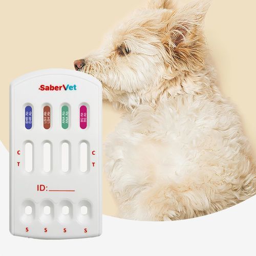 Test rapido della leishmaniosi - SaberVet EHR/LSH/ANA/BG Ab - Hangzhou Antigenne Technology Co. Ltd - veterinario / canino / dell'Ehrlichia