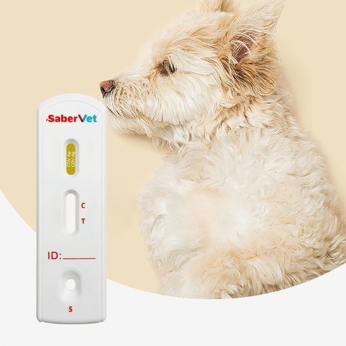 Test rapido del cimurro - Sabervet CDV Ag - Hangzhou Antigenne Technology Co. Ltd - veterinario / canino / virale