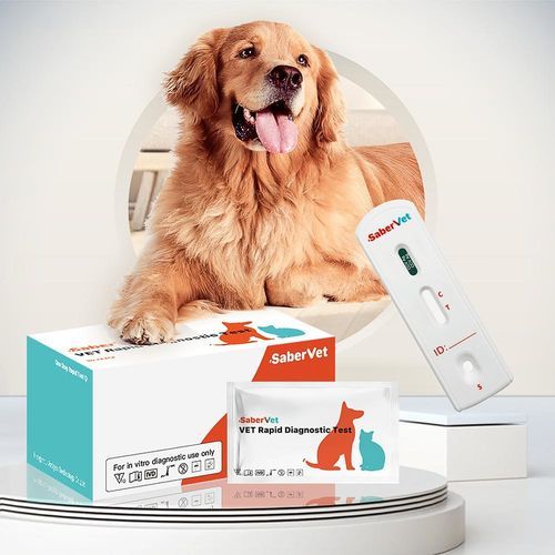 Test rapido per malattie infettive - Sabervet CCV Ag - Hangzhou Antigenne Technology Co. Ltd - veterinario / per cani / per antigeni