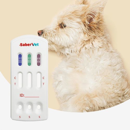 Test rapido per malattie infettive - Sabervet EHR/ANA/BC Ab  - Hangzhou Antigenne Technology Co. Ltd - veterinario / canino / dell'Ehrlichia