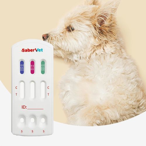 Test rapido per malattie infettive - Sabervet EHR/BG/ANA Ab - Hangzhou Antigenne Technology Co. Ltd - veterinario / canino / dell'Ehrlichia