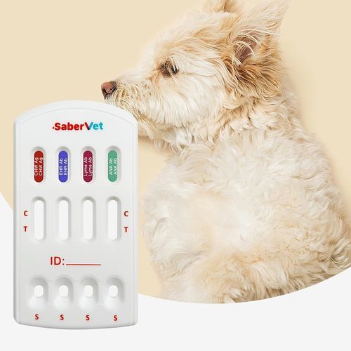 Test rapido della leishmaniosi - SaberVet CHW Ag/EHR/LYM/ANA Ab - Hangzhou Antigenne Technology Co. Ltd - dell'insufficienza cardiaca / veterinario / canino