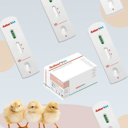 Test rapido per malattie infettive - SaberVet AIV H7 Ag - Hangzhou Antigenne Technology Co. Ltd - veterinario / di proteine / virale