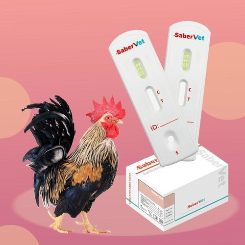Test rapido per malattie infettive - SaberVet AIV H9 Ag - Hangzhou Antigenne Technology Co. Ltd - veterinario / di proteine / virale