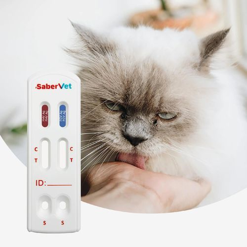 Test rapido della clamidia - SaberVet FHV/FCV Ag - Hangzhou Antigenne Technology Co. Ltd - veterinario / per felini / Bordetella bronchiseptica