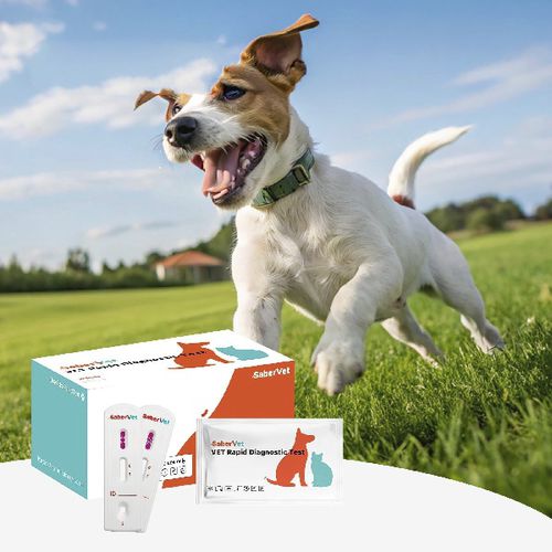 Test rapido per malattie infettive - Sabervet CDV/CAV/CIV Ag - Hangzhou Antigenne Technology Co. Ltd - veterinario / canino / virale