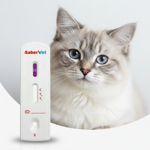 Test rapido per malattie infiammatorie intestinali - Sabervet FPL - Hangzhou Antigenne Technology Co. Ltd - veterinario / per felini / di lipasi