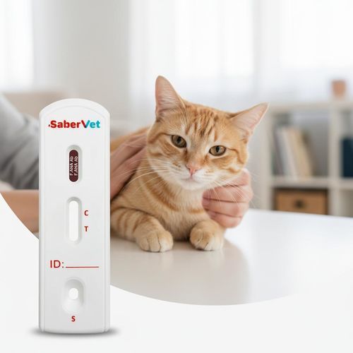 Test rapido veterinario - SaberVet F.ANA - Hangzhou Antigenne Technology Co. Ltd - per malattie infettive / per felini / per anticorpi