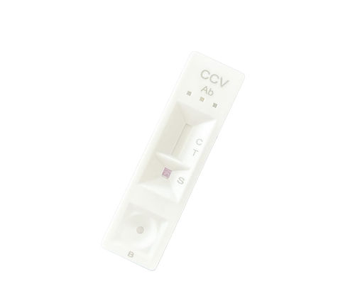 Kit di test per malattie infettive - CCV0144 - Neo-nostics - per animali / per anticorpi / di siero