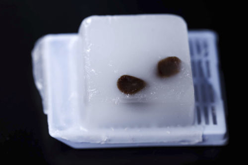 Kit di test per purificazione del DNA - MagSi - magtivio B.V. - DNA genomico / clinico / biologico