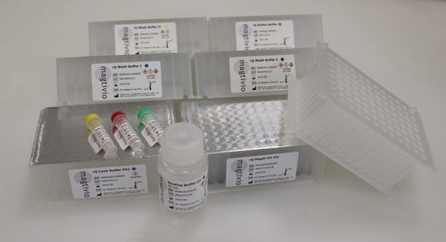 Kit di test per estrazione del DNA - rQ - magtivio B.V. - di siero / al plasma / nasofaringeo