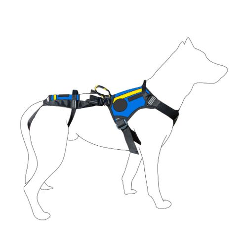 Imbracatura veterinaria - SEC1280 - Dimatex Securite SARL - per cani