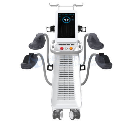 Unità di body contouring tramite elettrostimolazione muscolare (EMS) - SH SM-20 - Beijing Sea Heart International Science And Technology - unità di body contouring RF / trasportabile