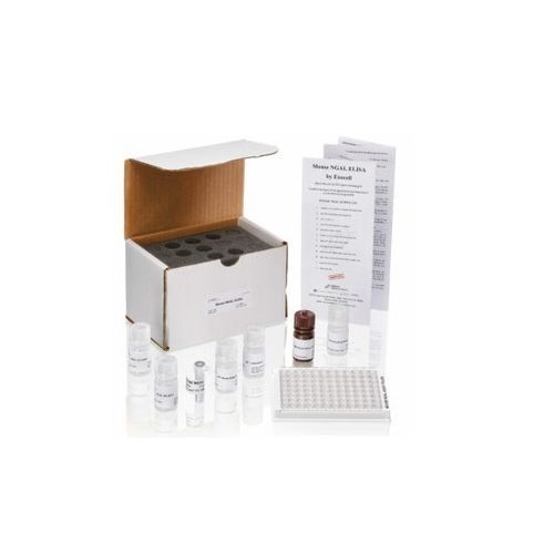 Kit ELISA - Ethos  - Ethos Biosciences - da ricerca / di siero / di urina