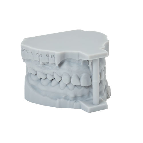 Materiale odontoiatrico in resina - P-RD - Shenzhen Purple Dance Technology Co., Ltd. - per ricostruzione dentale / ortodontico / per stampa 3D