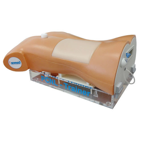 Simulatore didattico - LS40 2.0 - Samed - per puntura / di estrazione / per chirurgia