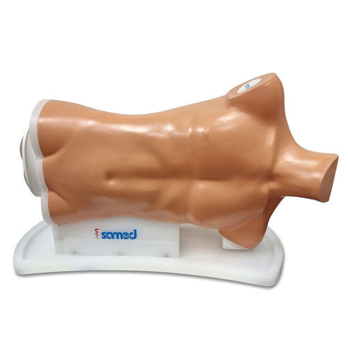 Simulatore per coloscopia - LS90 - Samed - didattico / per gastroenterologia / parte superiore del corpo