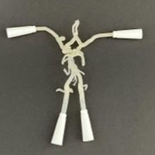 Modello anatomico del circolo arterioso di Willisii - AM10CW - Samed - neurochirurgico / didattico / semitrasparente