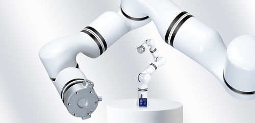 Braccio robotizzato da massaggio - RM65-B - RealMan Intelligent Technology - per il settore medico / da laboratorio