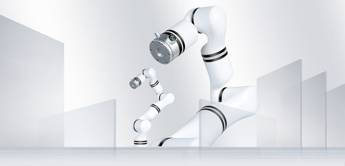 Braccio robotizzato da massaggio - RM65-ZF - RealMan Intelligent Technology - per il settore medico / da laboratorio