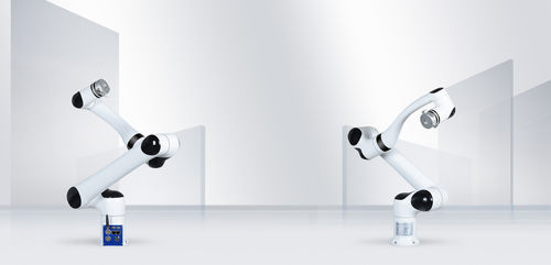 Braccio robotizzato da massaggio - RML63-B - RealMan Intelligent Technology - per il settore medico / da laboratorio