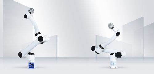 Braccio robotizzato da massaggio - RML63-ZF - RealMan Intelligent Technology - per il settore medico / da laboratorio