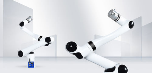 Braccio robotizzato da massaggio - RML63-6F - RealMan Intelligent Technology - per il settore medico / da laboratorio / 6 assi