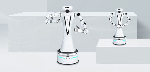 Braccio robotizzato da massaggio - RMC-DA - RealMan Intelligent Technology - per il settore medico / da laboratorio