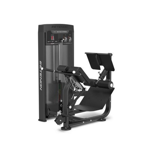 Stazione per esercizi muscolari estensione del dorso - R8403 - Etenon Fitness