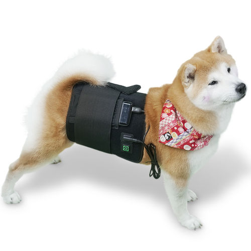 Laser per fotostimolazione veterinaria per animali domestici - LED-Wrap - Hubei Theypet Technology - per equini / indossabile