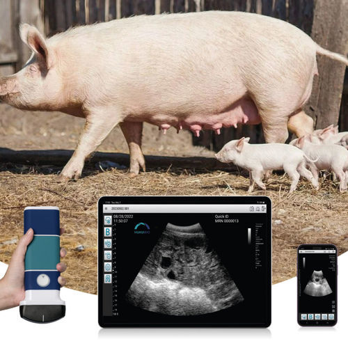 Ecografo veterinario palmare - LUS110C - Hukui Biotechnology Co.,Ltd. - multiuso / per suini / in bianco e nero