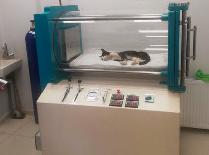 Cabina iperbarica veterinaria mobile - VETA - Series - Barotech - per animali di piccola taglia