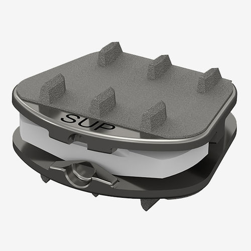 Protesi di disco cervicale - Synergy Spine Solutions