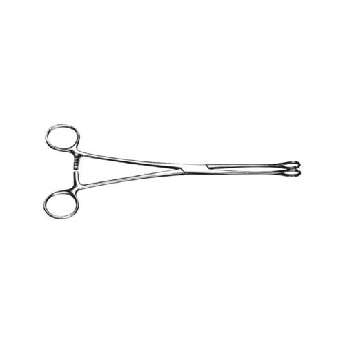 Pinza veterinaria - 2031025 - HK Medical Instruments - da presa / di Foerster