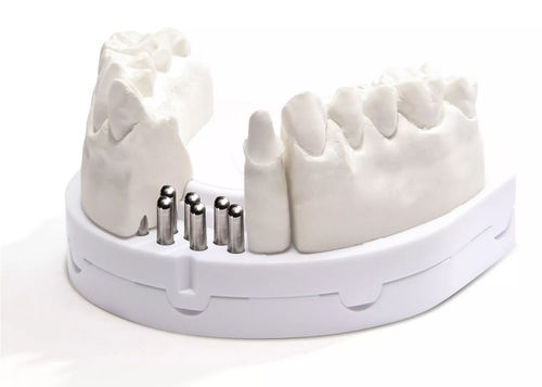 Modello anatomico di dentatura - optibase exclusiv  - Dentona AG - per implantologia / di dimostrazione