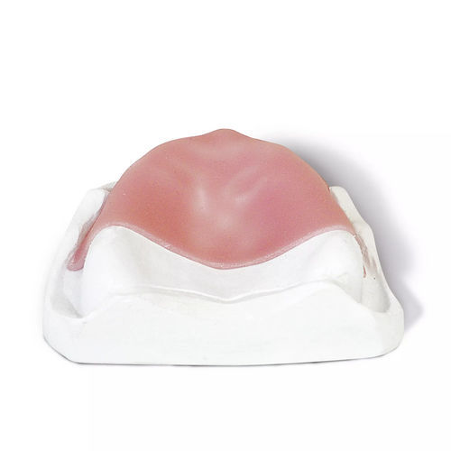 Materiale odontoiatrico in composito - base LC - Dentona AG - per ricostruzione dentale / fotopolimerizzable