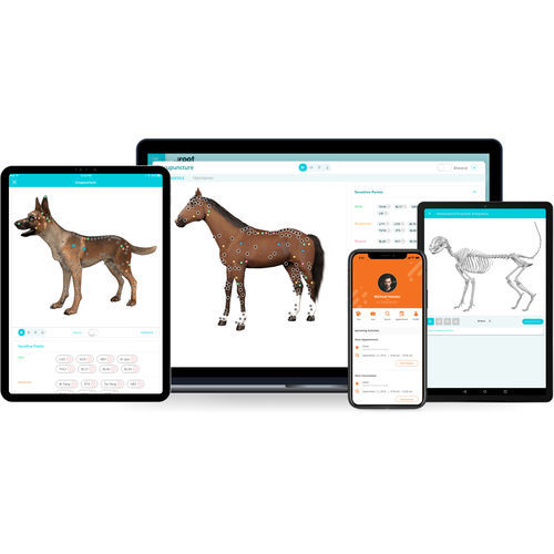 Software medico - AcuroVet® - ArcNovo Tech - TEP / veterinario / di gestione