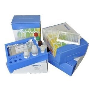 Kit di test da ricerca - RUO - FIRALIS GROUP - per biomarcatore / di sangue / ELISA