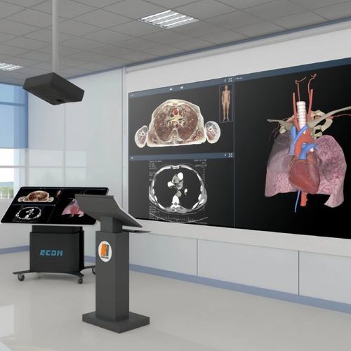 Piattaforma di realtà virtuale semi immersiva - ECDH-Int CAT - Shandong Digihuman Technology CO., Inc. - 3D / medica / con paziente virtuale