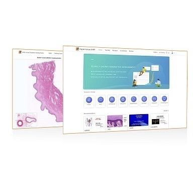 Software didattico - Shandong Digihuman Technology CO., Inc. - di navigazione / di anatomia / per laboratorio di istopatologia