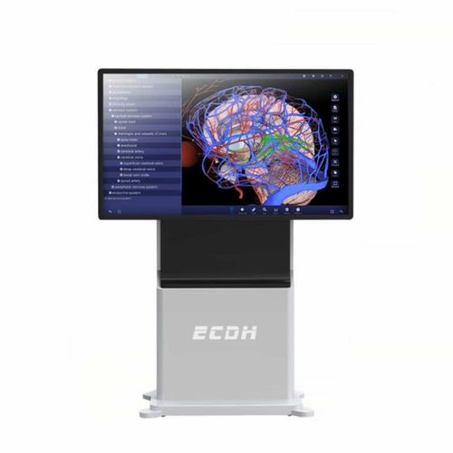 Terminale multimediale per postazione paziente touch screen - ECDH-Int 55 - Shandong Digihuman Technology CO., Inc.