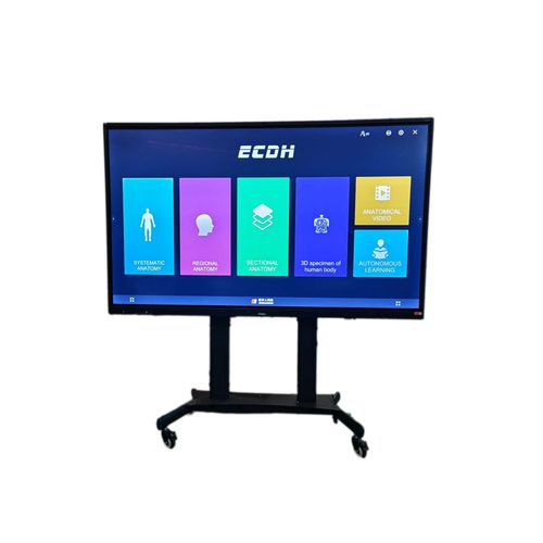 Terminale multimediale per postazione paziente touch screen - ECDH-Int 98 - Shandong Digihuman Technology CO., Inc.